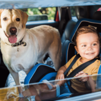 toddler and dog in back seat