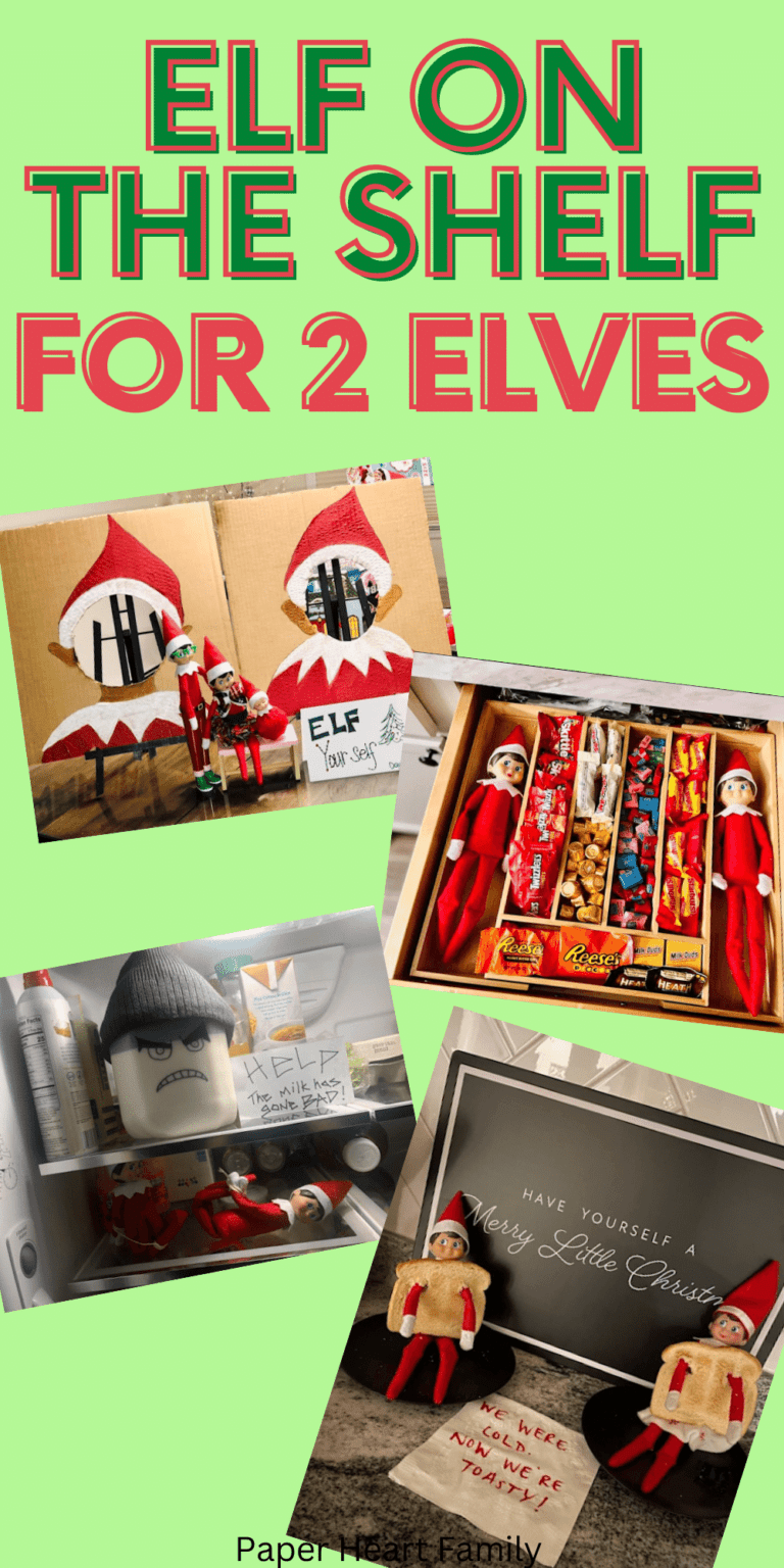 18 Inspiring Elf on the Shelf Ideas for 2 Elves