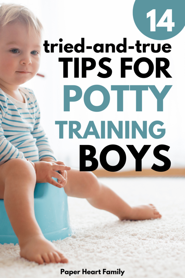 tips for potty training boys        
        <figure class=