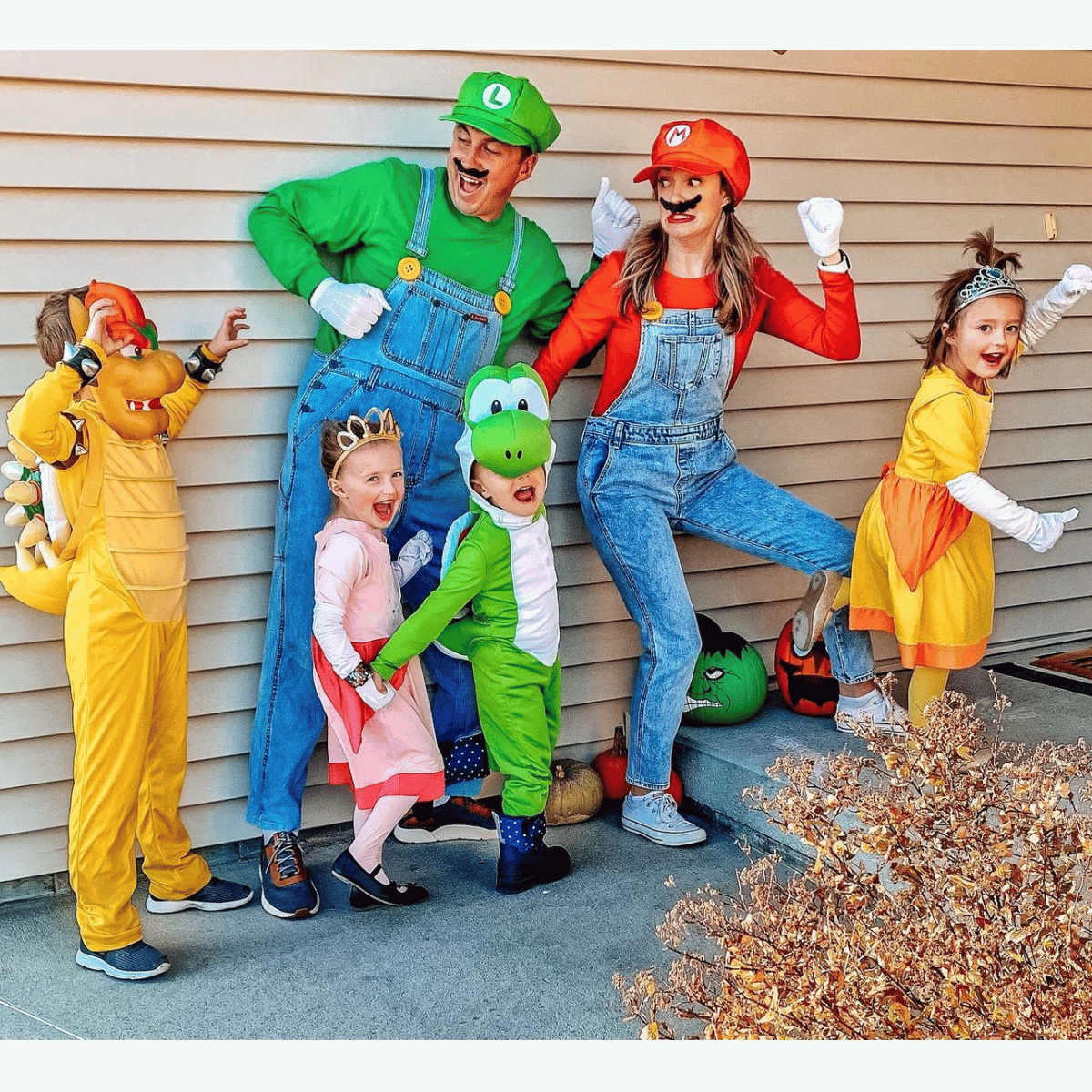 Mario, Luigi, Yoshi, Princess Peach, and more.